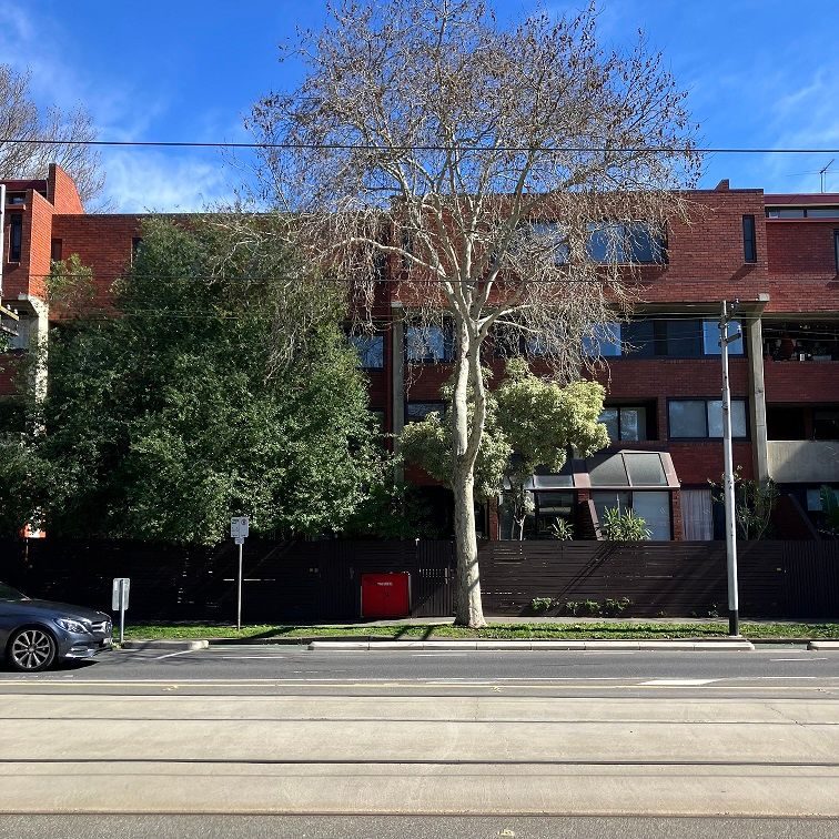 341  Abbotsford Street