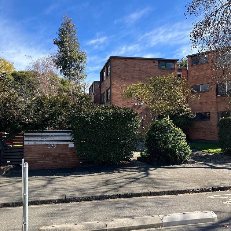 375  Abbotsford Street